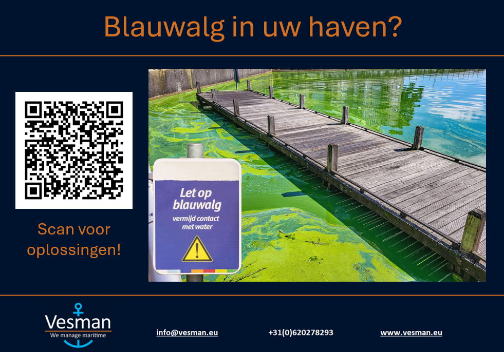Blauwalg?
